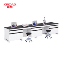 鑫导 实验台 SYT181-钢木边台定制 米