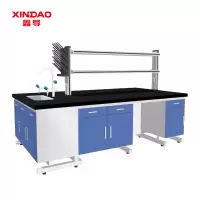 鑫导 实验台 SYT189-钢木中央台定制 米