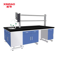 鑫导 实验台 SYT192-pp中央台定制 米