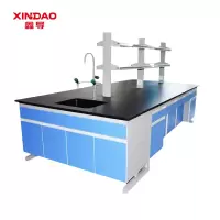 鑫导 实验台 SYT207-钢木中央台定制 米