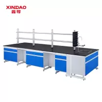 鑫导 实验台 SYT220-全木中央台定制 米