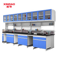 鑫导 实验台 SYT250-pp吊柜定制 米