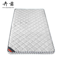 卉茵 椰棕床垫 1000*2000*100mm 张