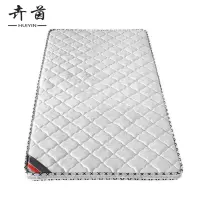 卉茵 椰棕床垫 1000*2000*100mm 张