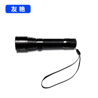 友艳LED灯YYDD-002/个