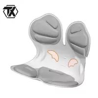 铁迅护腰靠坐垫X43 个