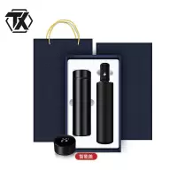 铁迅 雨伞保温杯套装 P55 套