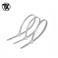 铁迅自锁式尼龙扎带 I85 100条/包