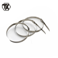 铁迅不锈钢自锁扎带 I88 100条/包