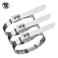 铁迅不锈钢自锁扎带Z72 包