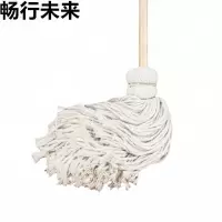 畅行未来 拖把 10把装 捆