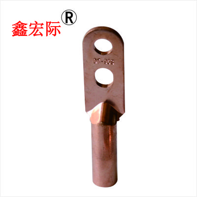 鑫宏际 金具 铜接线端子 铜鼻DT-35(双孔)/个