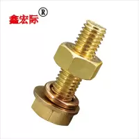 鑫宏际 铜六角螺栓带螺母 M8*20mm/套
