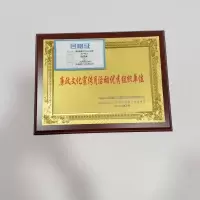 橙起晟捷 木托奖牌 35x50cm 个