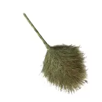 亿洁诚大扫帚竹制5斤/把