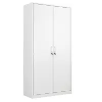 伟樽铁皮衣柜二门900*420*1800mm台