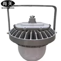 尚关(SHANGGUAN)LED 泛光平台灯 SQ-Z26 80W 套