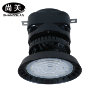 尚关(SHANGGUAN) LED智能型升降灯SQ-Z45G 200W 只
