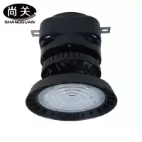 尚关(SHANGGUAN) LED智能型升降灯SQ-Z45G 200W 只