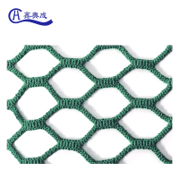 鑫奥成 H 球场防护网 XAC-R100x100mm 平方米
