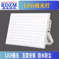 RDZM LED投光灯 RD9020 三防照明灯100W