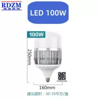 RDZM LED灯泡100W RD1 个