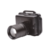 RDZM 强光LED微型防爆头灯 IW5133 台