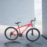 健卡侬 山地自行车 26款JZ5 /辆
