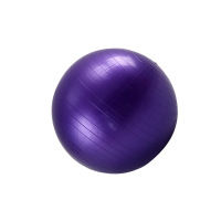 健卡侬 瑜伽球55cm JH26 个