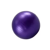 健卡侬 瑜伽球55cm JH26 个