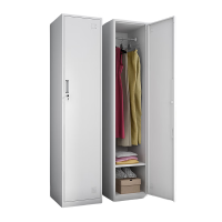 东杉定制衣柜 定制铁柜 台