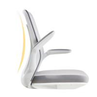 东杉 办公椅 ZB02职员椅转椅灰色职员椅扶手可抬