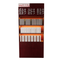 东杉东杉 文件柜 定制书柜文件柜(含灯带)