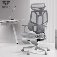 枫翔人体工学椅办公椅 E3高配 把