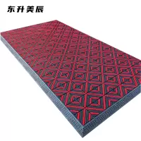 东升美辰 地垫入户门垫脚垫75*120cm DS-038 个