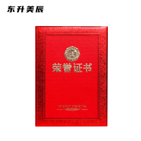 东升美辰 皮革浮雕烫金荣誉证书 DS-BH118 个