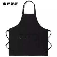 东升美辰 帆布围裙防水 DS-076 个