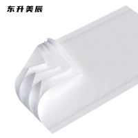 东升美辰 空心卷纸100g*100卷 DS-BH140 箱