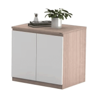 企来行李柜(无边) 800*600*600mm 个