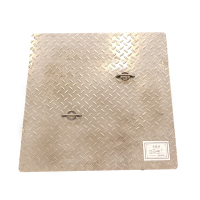 泰瑞众为 不锈钢异形盖板 ZWPJ-DZ-GB800*800 套