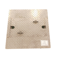 泰瑞众为 不锈钢异形盖板 ZWPJ-DZ-JG800*800 套