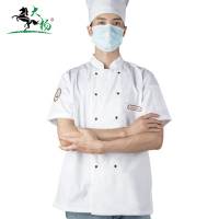 大杨 厨师服 短袖上衣 食堂酒店厨房工作服 C-002 /件(肩膀后背透气 码数备注)