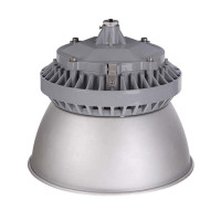 雷森旭 LED高顶灯WF241-100W 套