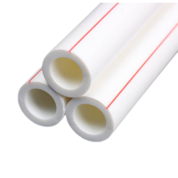 新鑫兴 PPR管 20mm 米