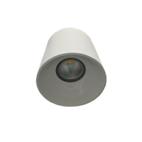 圣恩天泽 LED明装筒灯 TSYJ 36W 套