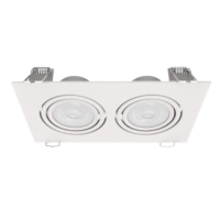 圣恩天泽 双头筒灯TSYJ 25*12 12W*2 个