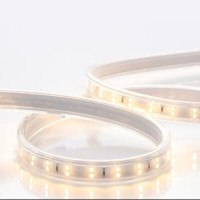 圣恩天泽 LED灯带TSYJ 双股双排220V 米