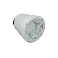 圣恩天泽 LED明装筒灯 TSYJ 100W 个