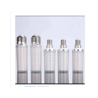 圣恩天泽 LED 水晶灯泡 TSYJ 7W 个