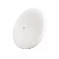 洛安斯 智能感应吸顶灯 18W 个